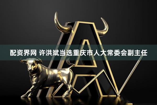 配资界网 许洪斌当选重庆市人大常委会副主任